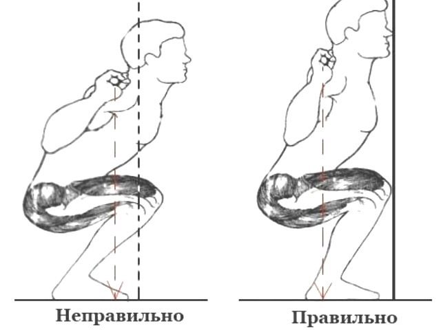 График приседаний