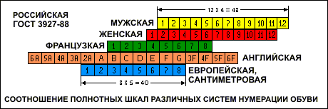 Определение полноты стопы