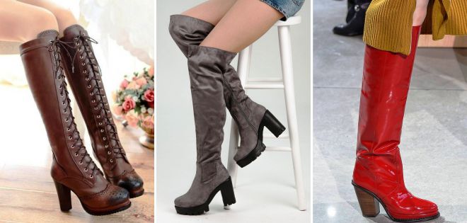 сапоги на каблуке 2018