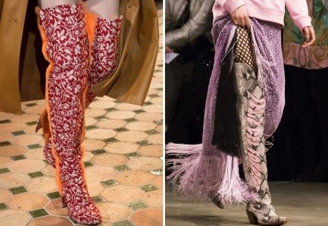 модные сапоги ботфорты 2017