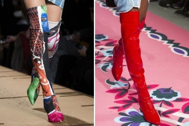 модные сапоги ботфорты