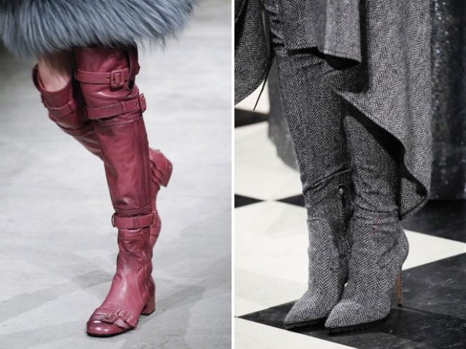 женские ботфорты