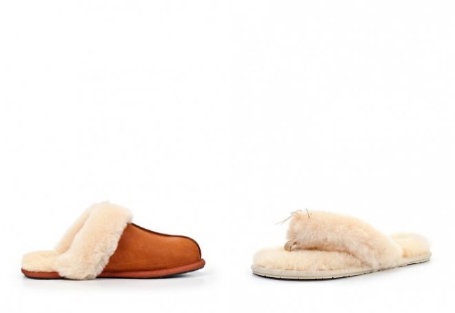 тапочки ugg australia