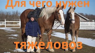 Чем отличается кроссовый бег от длительного бега