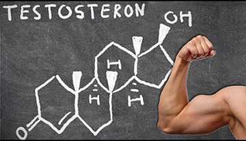 Как увеличить выработку тестостерона у мужчин естественными способами