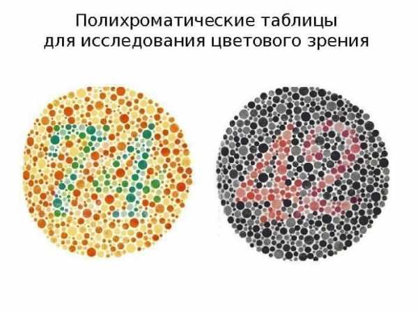 Проверка зрения на цветовосприятие