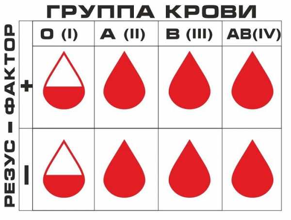 Меняется ли группа крови у человека в течении жизни после родов