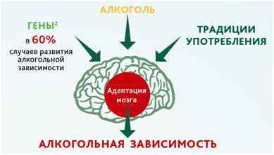 Наследственность алкоголизма презентация