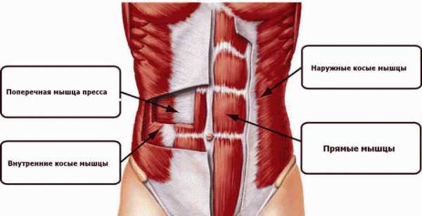 Тренировка пресса в домашних условиях для мужчин